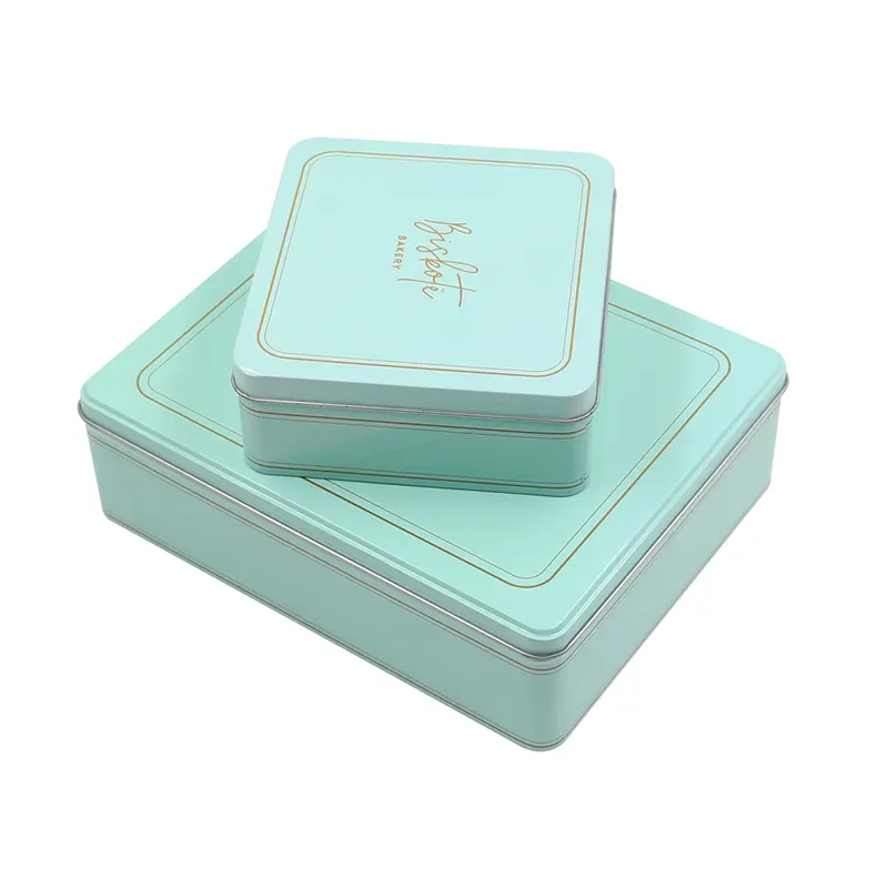 Caja de hojalata rectangular-10
