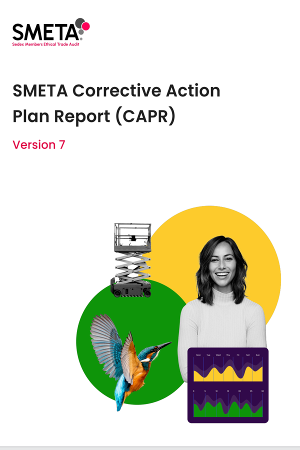 smeta v7